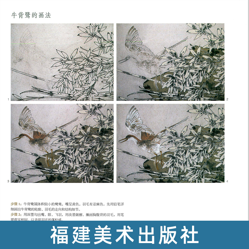 正版现货 张迎春画鸟精选 中国画技法国画入门基础教程书 工笔白描画花卉技法大全集教材国画初学者画花卉动物技巧 福建美术出版社 - 图3