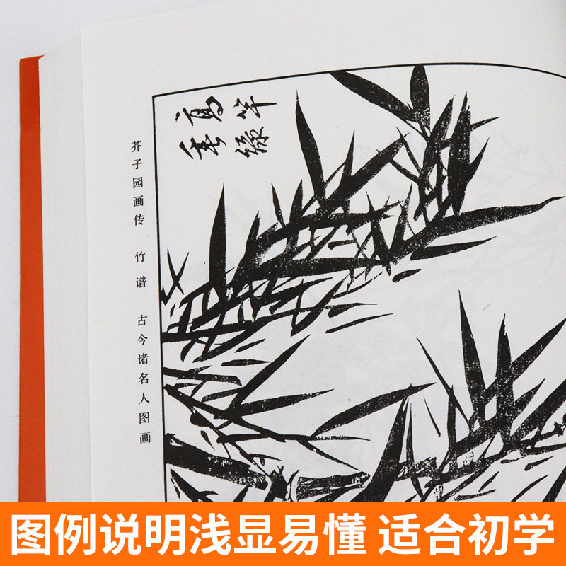 【正版308页】芥子园画传集兰竹梅菊巢勋临本 芥子园画谱 中国画毛笔写形构图基本技法绘画学习美术专业教程书传世画谱 人美