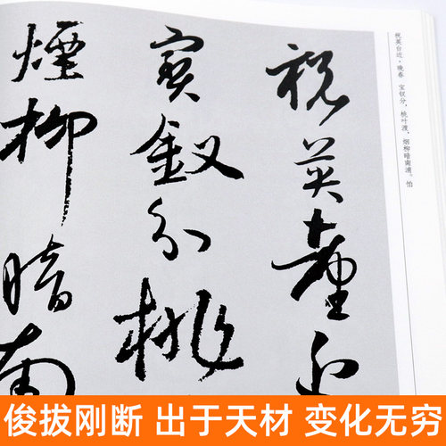 大尺寸全套2册孙过庭集字唐诗+宋词中国历代名家书法碑帖千字文放大临摹字帖教程毛笔草书孙过庭书谱集字古诗词作品大全-图2