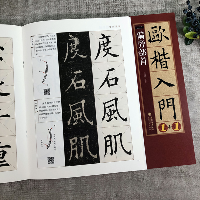 5册 欧阳询楷书字帖+欧楷入门1+1 基本笔画部首结构 九成宫醴泉铭成人书法毛笔字帖教程欧楷体书法教程书