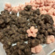 Lako Chocolate Korean Breakfast Crispy Donuts