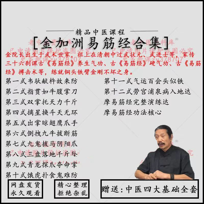 金加洲易筋经真人示范视频教学课程资料网课金加州古法易筋经 U盘 - 图2