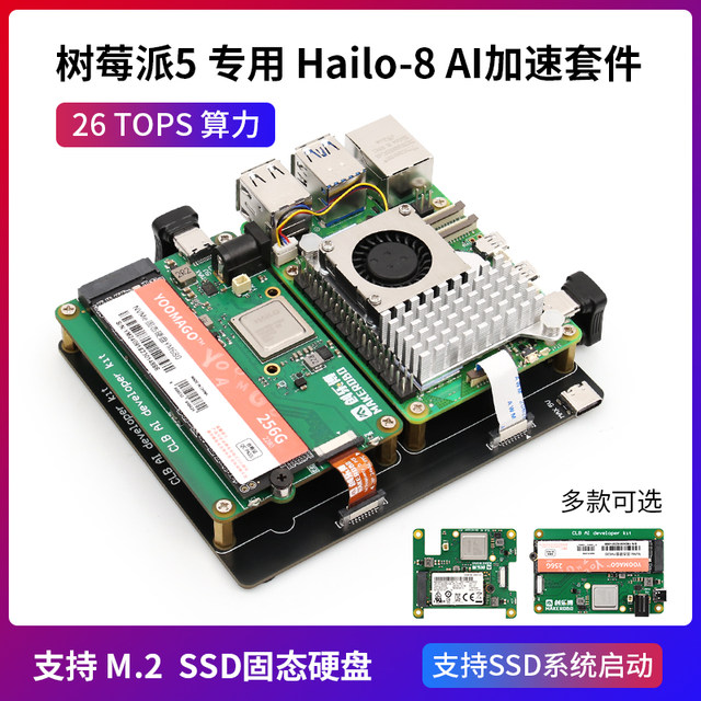 Raspberry Pi Raspberry Pi AIKit