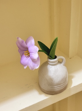 mudpie外贸陶瓷花瓶奶油风水培花插小众高级感轻奢风餐客厅摆设