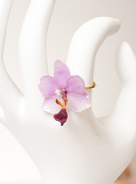 森系超仙永生花戒指2025新款爆款指环女气质天然干花真花戒指