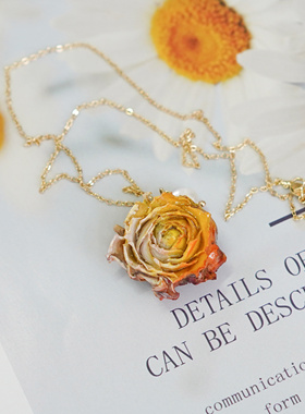 2025新款爆款饰品女气质天然干花真花项链