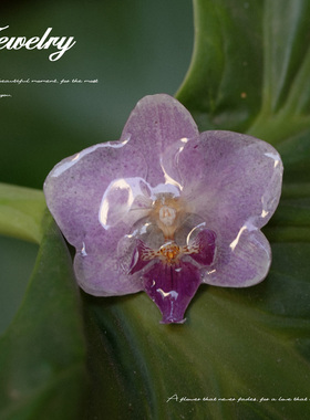 真花蝴蝶兰优雅花朵戒指女紫色超仙气质可调节合金戒指环