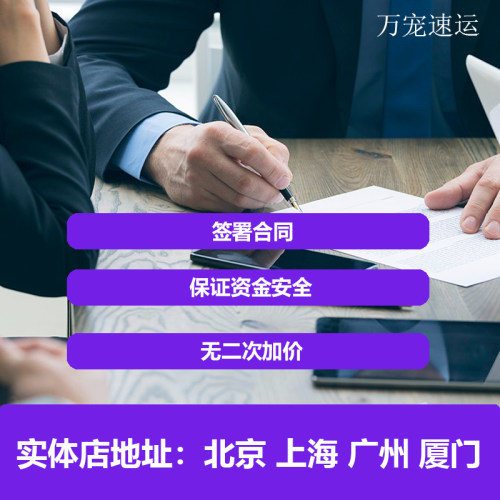 猫咪狗托运泰国菲律宾 猫狗托运马来西亚新加坡 猫狗回国宠物回国 - 图1