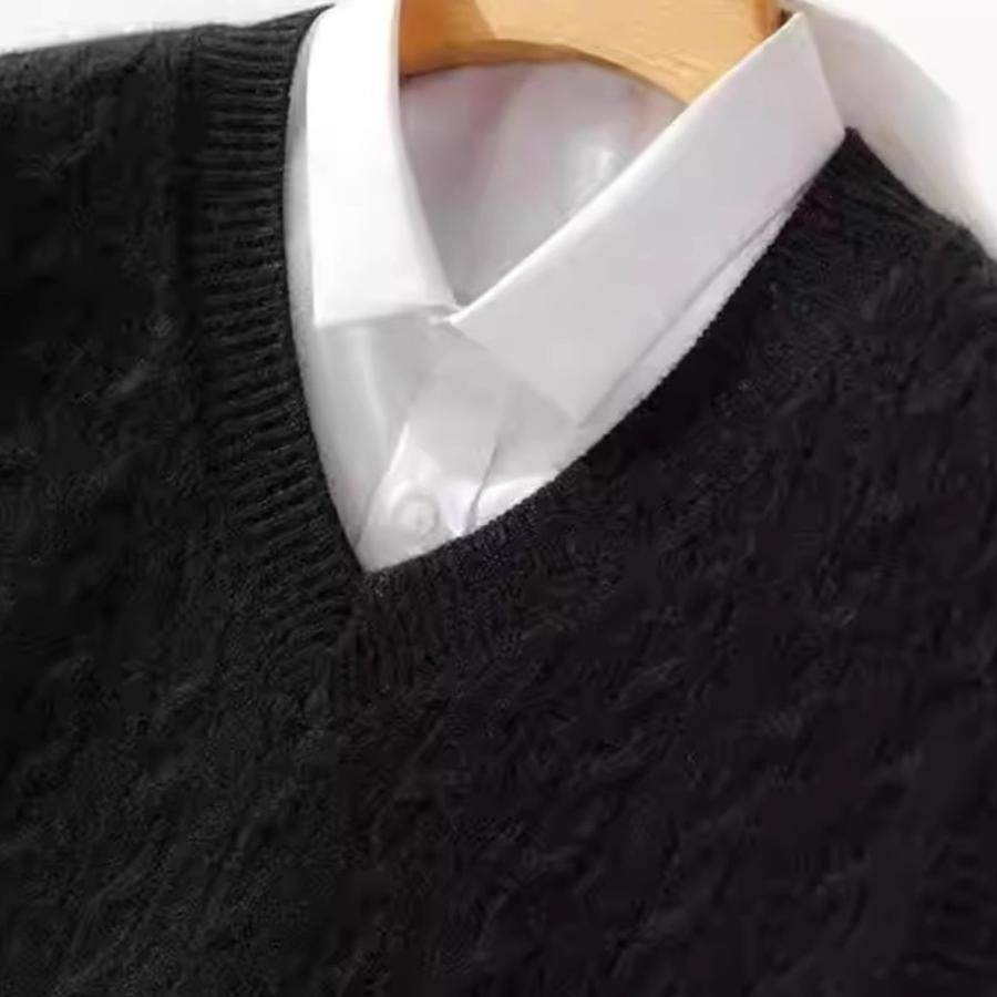 2025新羊毛背心坎肩男士V领加厚扭花商务休闲无袖毛衣针织羊绒衫,淘宝优惠券,粉丝福利购,淘宝优惠卷