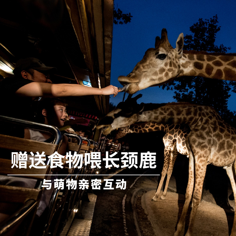 清迈自由行 清迈夜间动物园景点门票含缆车 懒猫旅行 当日可订 清迈自由行 清迈夜间动物园景点门票含缆车 懒猫旅行 当日可订