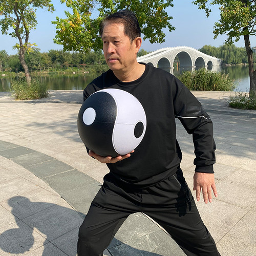 豫天云软体太极球健身球无极球实心练功球入门训练道家盘球功夫球 - 图1