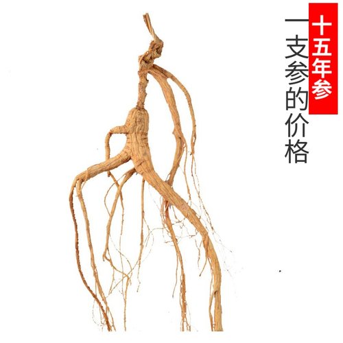 人参长白山林下参移山参东北特产干参15--20年老山参整枝正空装 - 图0