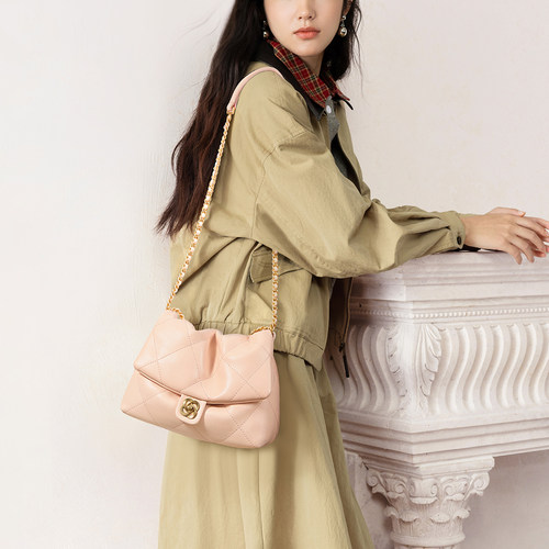 欧时纳华夫云朵包2026新款腋下女包轻便通勤单肩斜挎链条小方包 - 图2