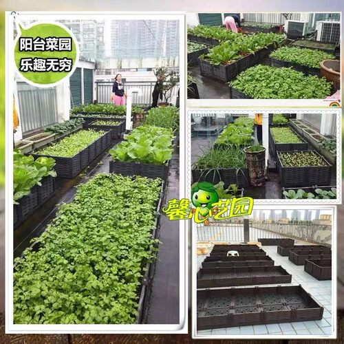 户外大面积种植箱 长方形阳台种菜盆 家庭大型花盆特大蔬菜种植箱 - 图3