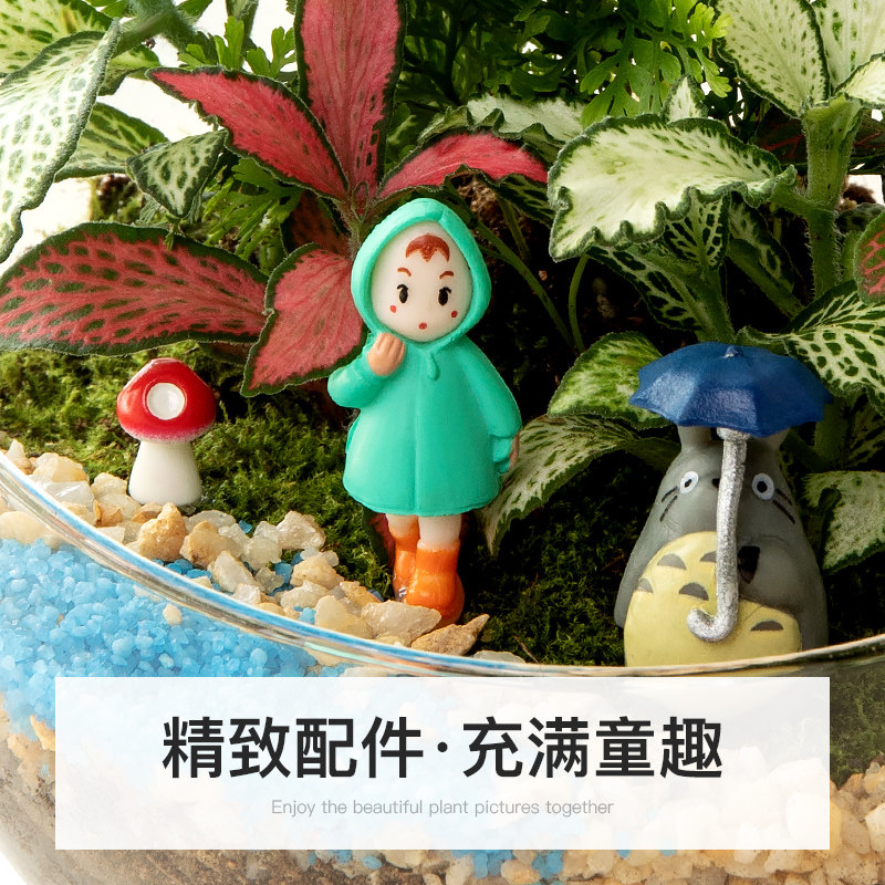 苔藓微景观盆景办公室绿植小盆栽工位客厅桌面植物生态瓶新年礼物,淘宝优惠券,粉丝福利购,淘宝优惠卷