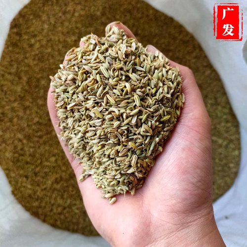 小茴香500g甘肃正宗茴香籽烧烤料磨粉调料回香粒无硫香料撒料干货 - 图2