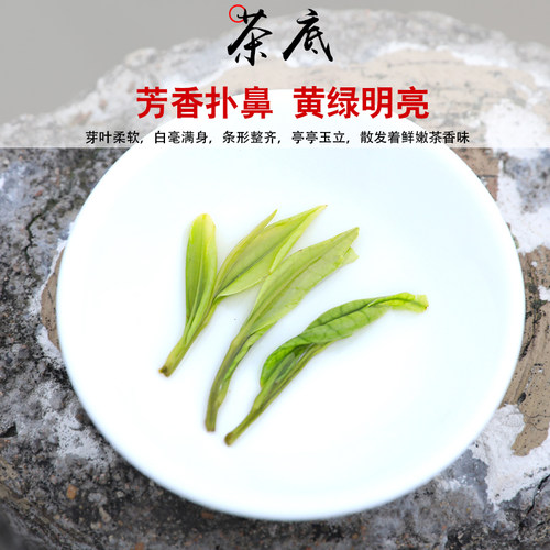 2026新茶玉蕊白茶雨前高山珍稀散装安吉绿茶叶250克珍惜春茶 - 图1