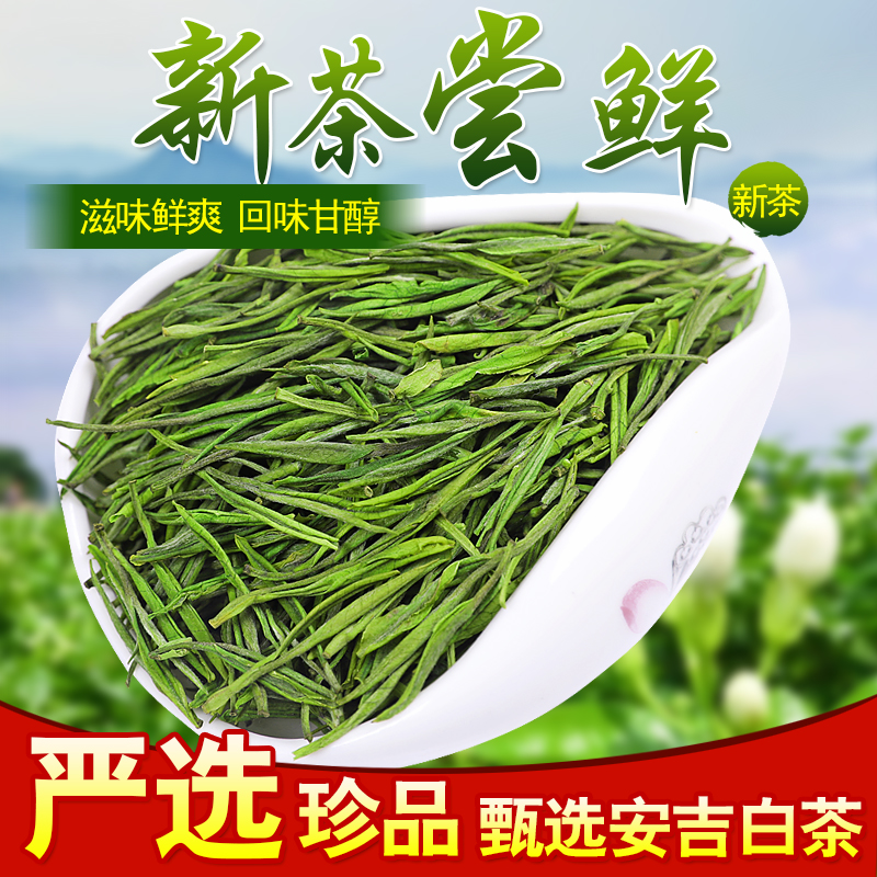 2024新茶特级玉蕊白茶雨前高山安吉绿茶农直销珍惜茶叶春茶250g - 图1