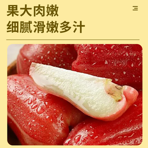 海南黑金刚莲雾大果（下单斤）特大果（下单KG）新鲜树上熟现摘 - 图0