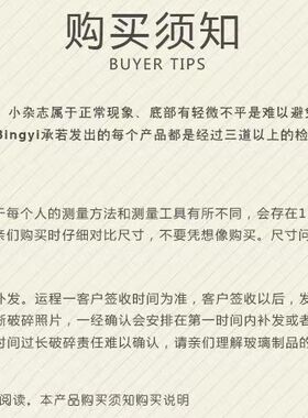 ins桌面玻璃花瓶落地南天竹水培器皿龙柳透明装饰品北欧轻奢简约