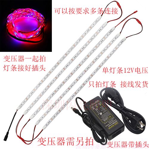 12V防水 软灯条植物补光灯红蓝混色多肉上色防徒花卉蔬菜补光育苗 - 图0