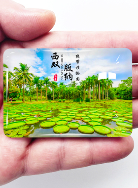 云南西双版纳旅游冰箱贴星光夜