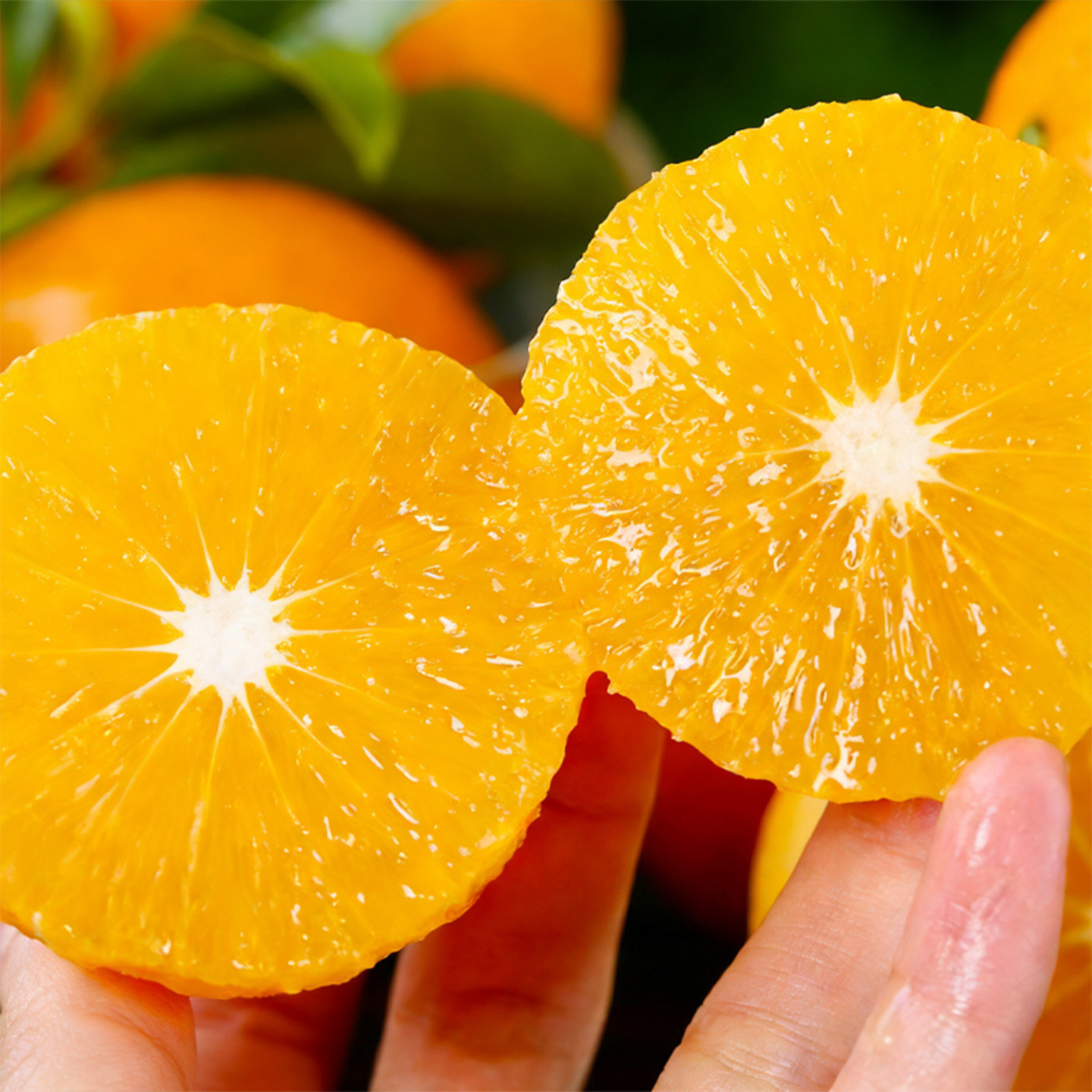 云南玉溪冰糖橙彩箱礼盒装一整箱纯甜多汁橙子当季新鲜水果,淘宝优惠券,粉丝福利购,淘宝优惠卷