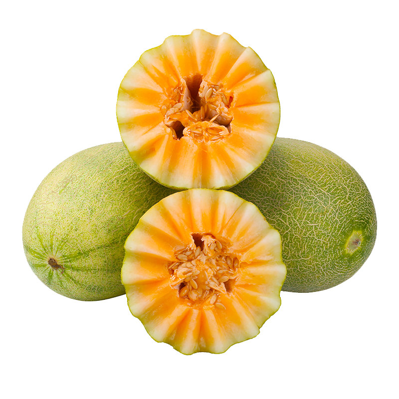 新疆哈密瓜新鲜水果甜瓜整箱吐鲁番西州蜜10斤应当季现摘全国包邮,淘宝优惠券,粉丝福利购,淘宝优惠卷