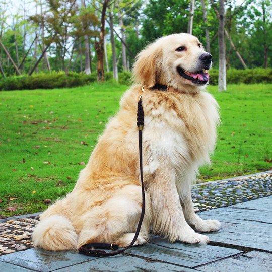 Demu petcare original imported grease traction rope