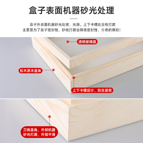 松木大号42x29x5.5cm昆虫标本盒玻璃面透明展示盒带针插板标本框 - 图0