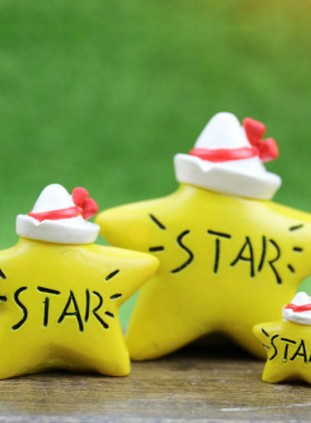 星星zakka月亮彩虹天气多肉花盆