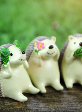 多肉卧室树脂拍摄创意生日小动物