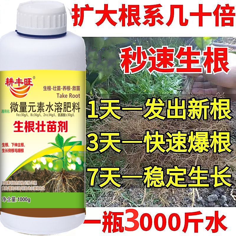 植物通用生根剂快速生根粉扦插用树木速效强力生根壮苗剂发根剂液 - 图2