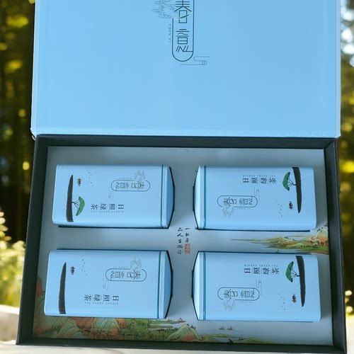 山东日照绿茶2025年新茶叶高档礼盒装半斤250克特产过年中秋送礼 - 图0