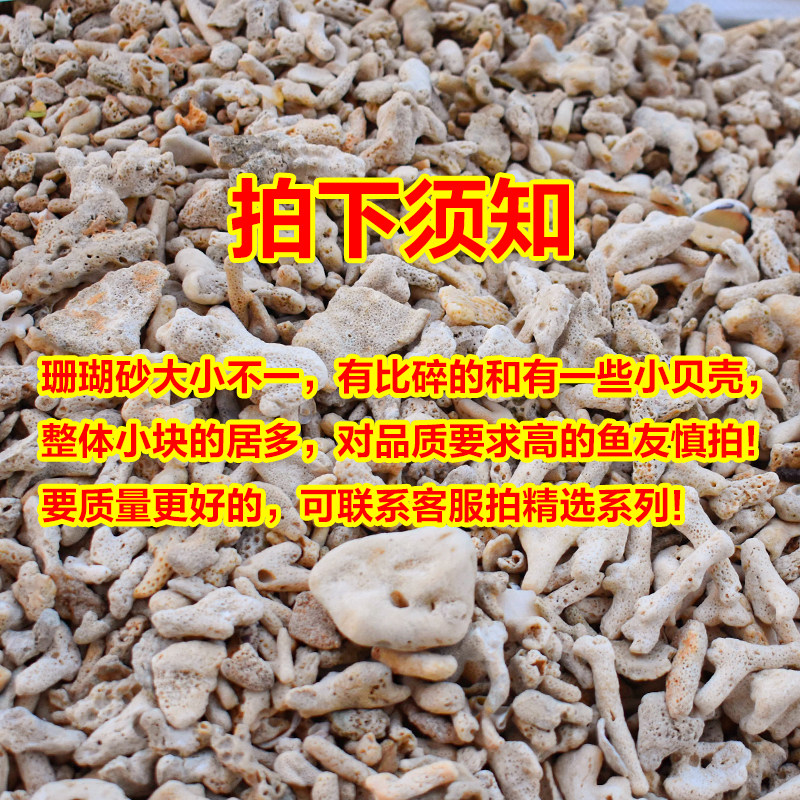 天然珊瑚骨滤材鱼缸过滤材料净水珊瑚石净化珊瑚砂鱼缸滤材,淘宝优惠券,粉丝福利购,淘宝优惠卷