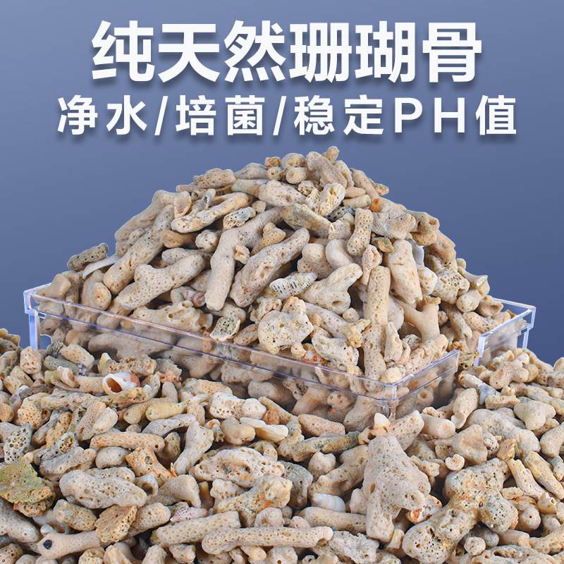 天然珊瑚骨滤材鱼缸过滤材料净水珊瑚石净化珊瑚砂鱼缸滤材,淘宝优惠券,粉丝福利购,淘宝优惠卷