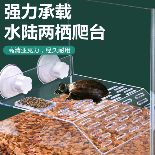 乌龟晒台爬台鱼缸龟缸爬坡亚克力吸盘高水位休息深水浮岛晒背浮台 - 图0
