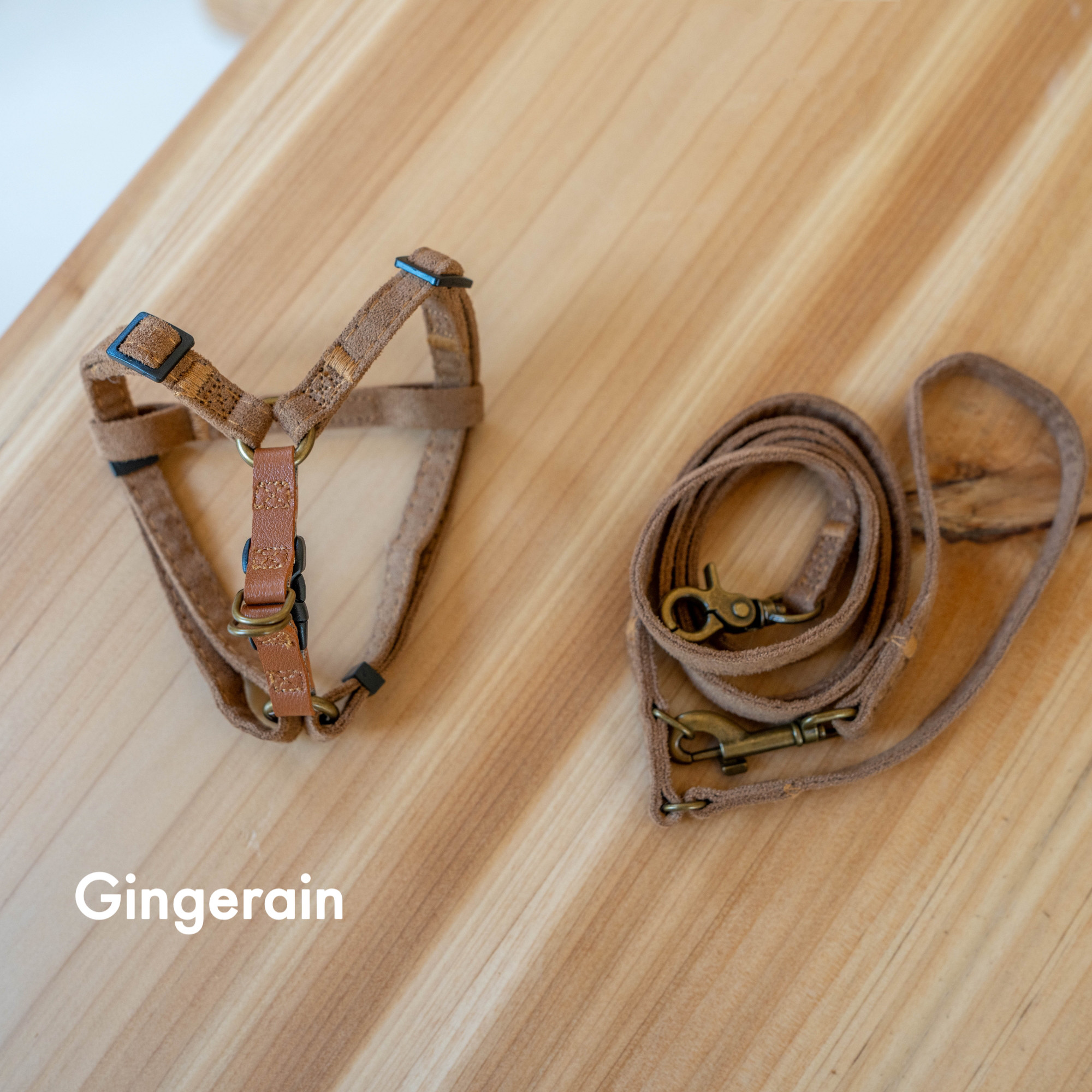 GINGERAIN  隐形好搭衣服极简牵引绳户外遛猫可调节德文猫胸背带,淘宝优惠券,粉丝福利购,淘宝优惠卷