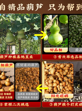 天然葫芦挂件门对门五帝钱门口客厅红色流苏福开口闭口新房入住