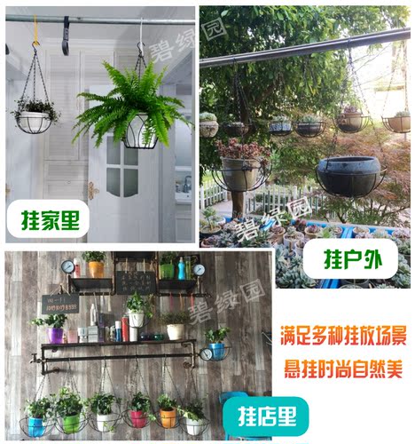 悬挂绿萝吊兰阳台花架挂架多肉花盆铁艺吊链挂链吊篮空气凤梨架子 - 图2