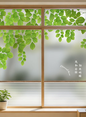 静电免胶防窥磨砂贴膜