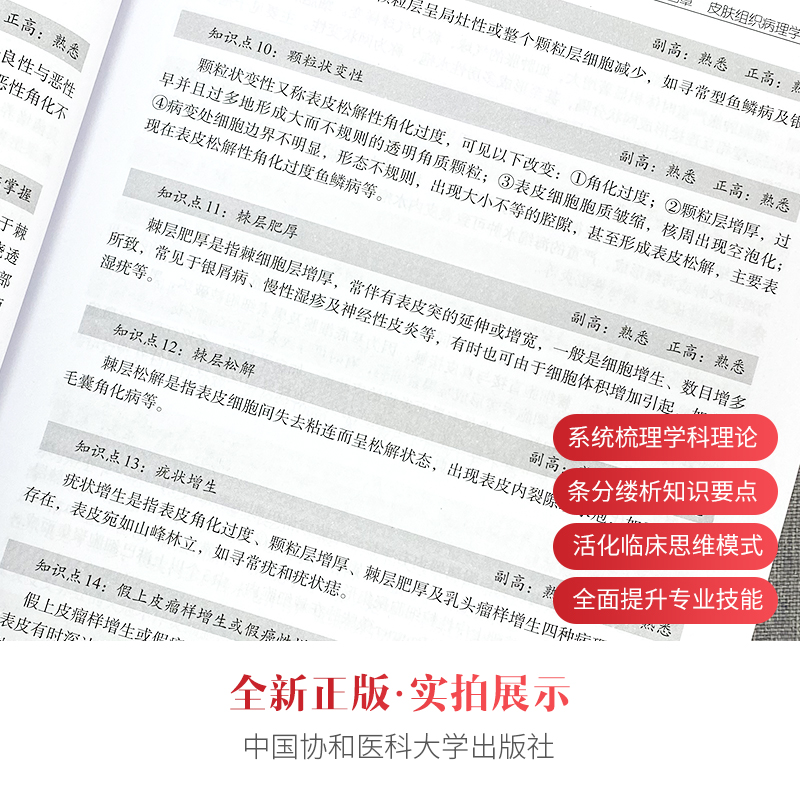 协和备考2024卫生专业技术资格考试书皮肤性病学进阶教材学习题集模拟试卷试题正副高级职称主任医师辅导考试题书籍搭军医人卫资料 - 图1