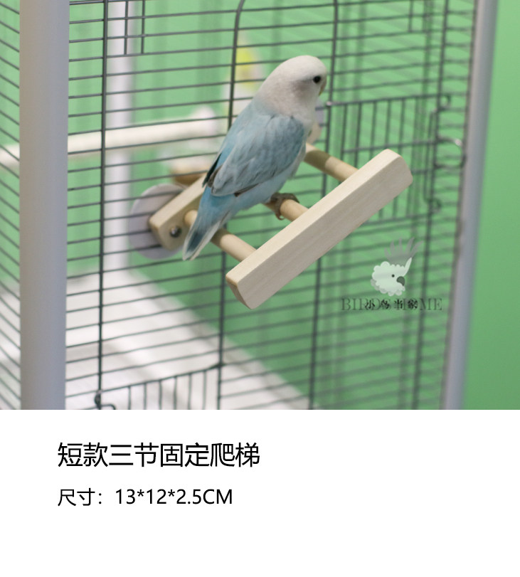宠物鸟多功能木质爬梯 鹦鹉玩具攀爬站台中小型鸟虎皮牡丹玄凤等,淘宝优惠券,粉丝福利购,淘宝优惠卷