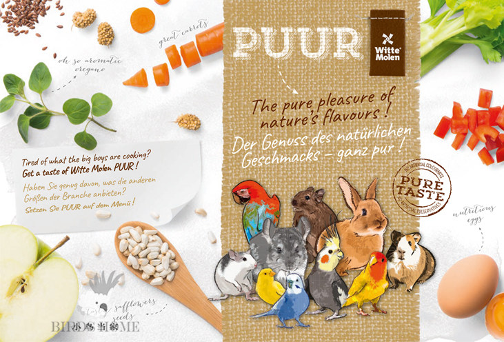 荷兰维特宠物鸟零食棒蛋黄粉玄凤牡丹 天然营养繁殖换羽补充奖励,淘宝优惠券,粉丝福利购,淘宝优惠卷