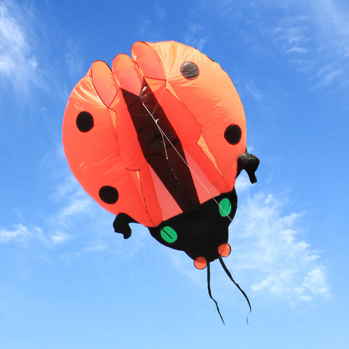 潍坊马老四风筝软体瓢虫风筝大型软体成人款风筝 - 图2