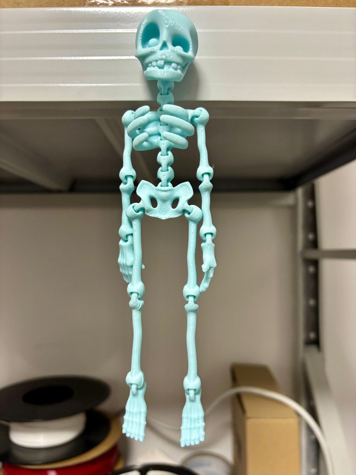 3D打印骷髅人关节可动万圣节搞怪玩具磁铁冰箱贴创意万圣节潮玩,淘宝优惠券,粉丝福利购,淘宝优惠卷