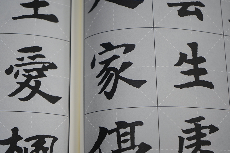 正版包邮 集魏碑书好诗 张黑女墓志 集字古诗歌米字格魏楷楷书毛笔软笔书法练字帖 初学者入门基础赏析临摹创作 江西美术出版社,淘宝优惠券,粉丝福利购,淘宝优惠卷