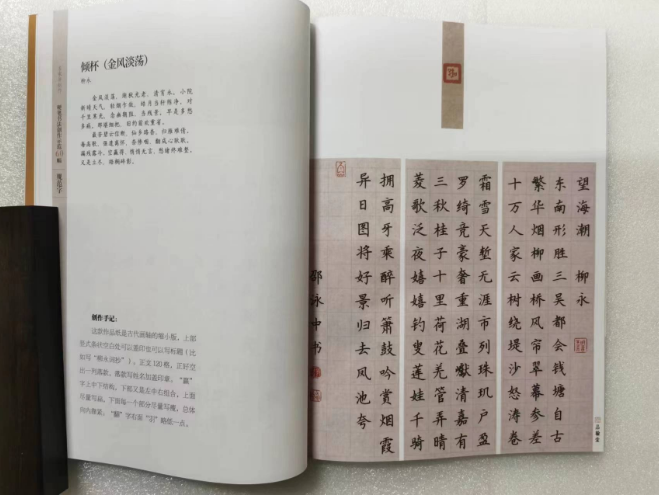 【正版包邮】硬笔书法创作示范60幅·规范字-名家讲创作 书法作品4色高清原大呈现 集示范 原文 讲解 邵泳中顾小勇 江西美术出版社 - 图3