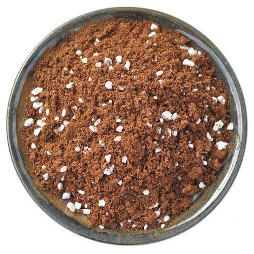 食虫植物专用土小虫草堂种植土营养土壤泥炭土介质水苔捕蝇草无肥 - 图3