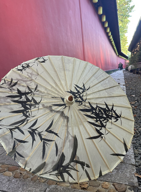 有有油纸伞古风男女手工古代传统防雨防晒西湖纸伞装饰雨伞汉服伞